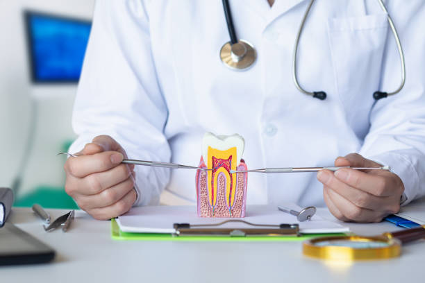 Best Emergency Tooth Extraction in Eastover, NC